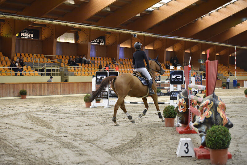 Foto van Zilveren Spoor - ZS stables
