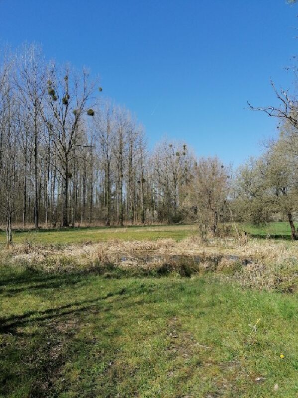 Foto van Immo Manoir