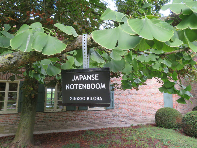 Foto van Plant identity