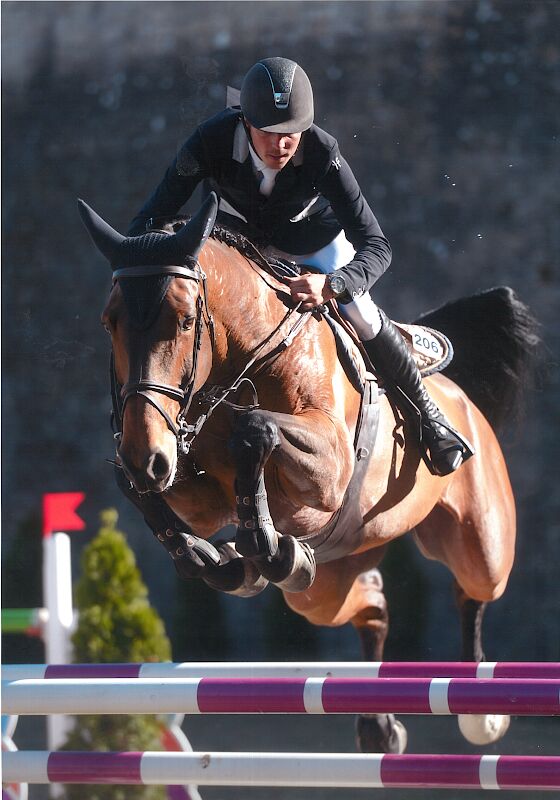 Foto van CELIS STABLES