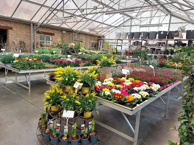 Foto van Tuinplantencentrum De Pauw
