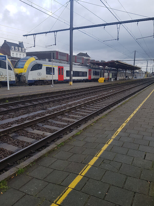 Foto van Zottegem