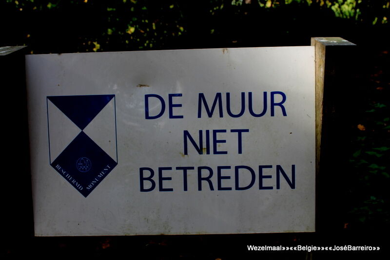 Foto van Sint-Martinuskerk