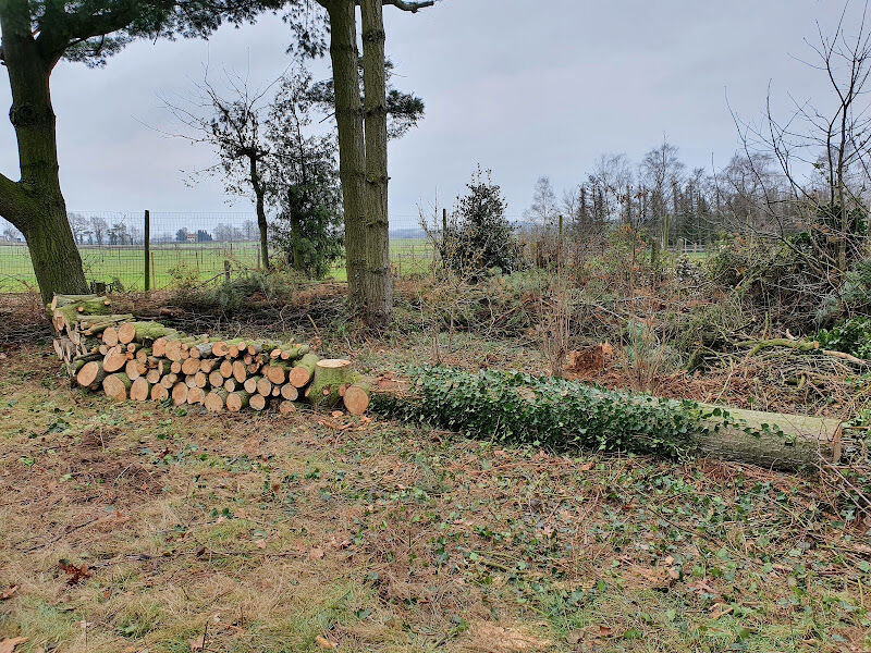 Foto van Boom- & tuintoewijding