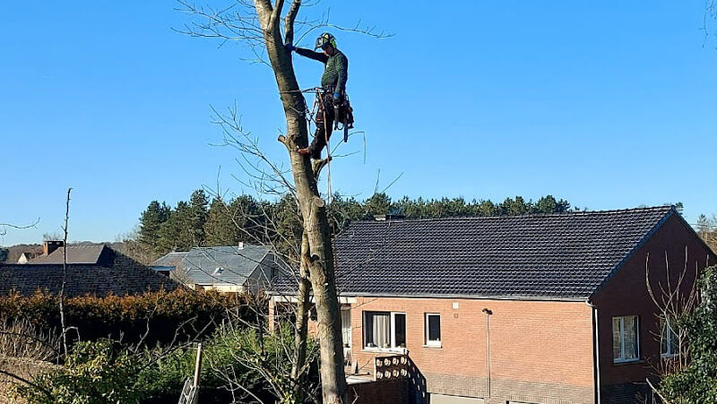 Foto van Groencreatie Luyckx