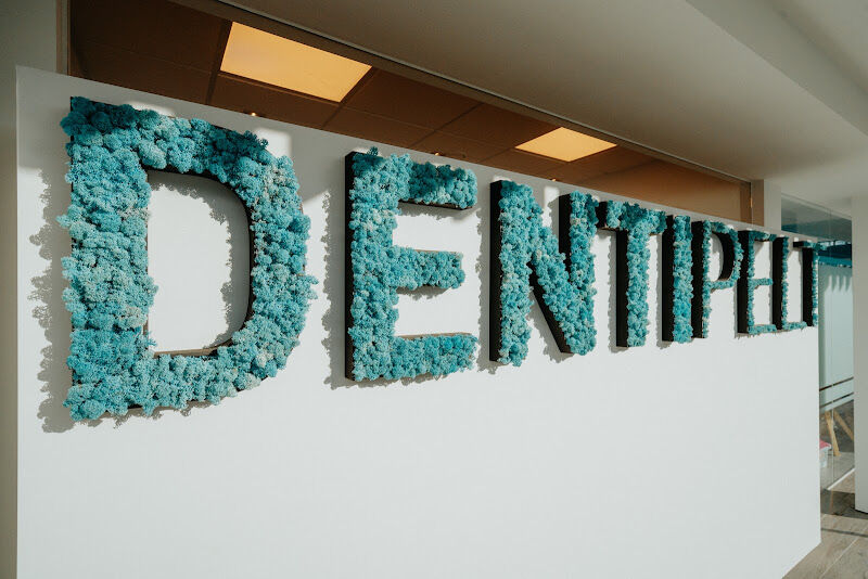 Foto van dentipelt