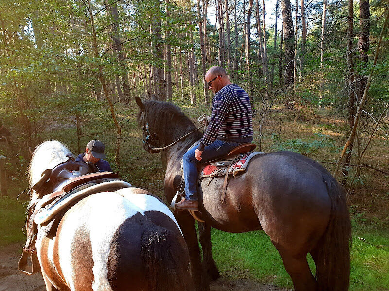 Foto van De Boshoef, Equitation