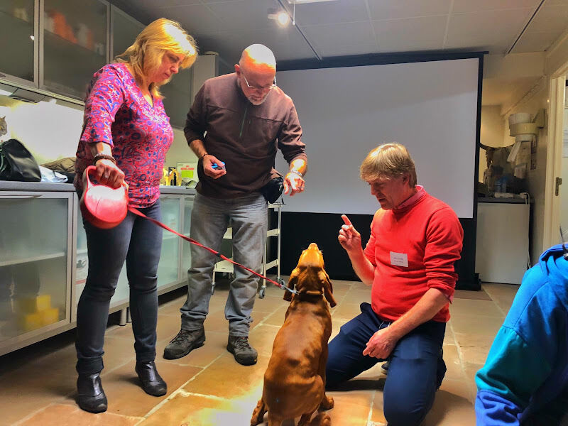 Foto van Vets for Pets Westende - Uw dierenarts in Westende