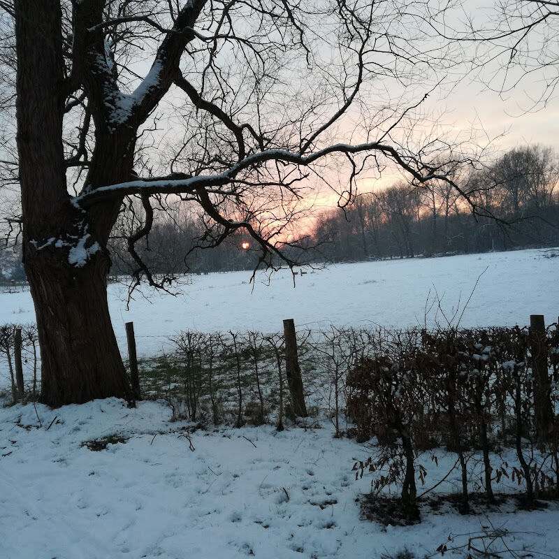 Foto van De Vidts / Kris