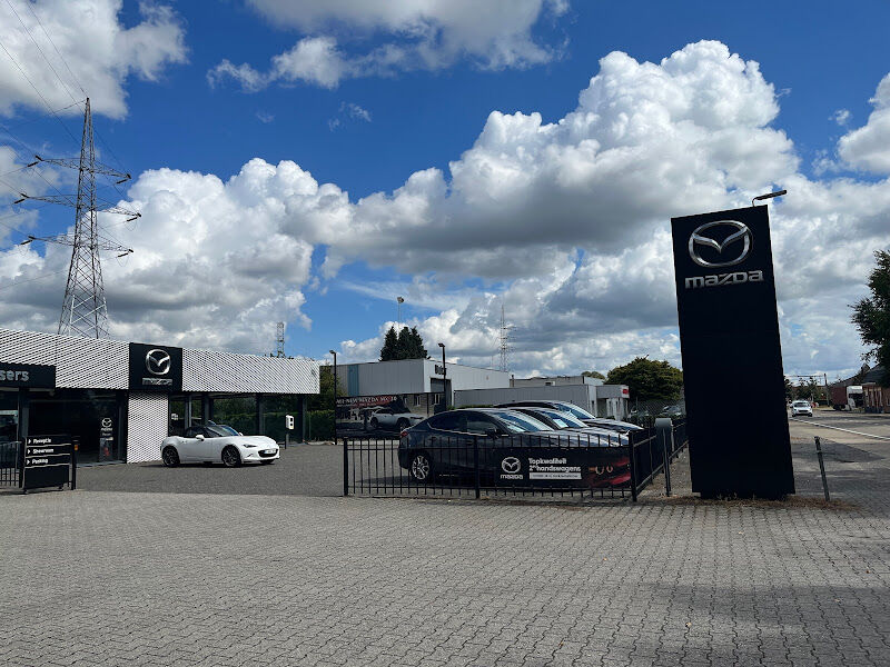 Foto van MAZDA DI NITTO PELT X PLESSERS