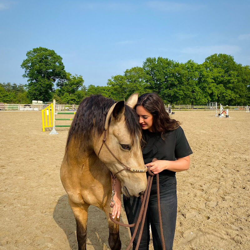 Foto van Fougalop/ Hippotherapie en natural horsemanship