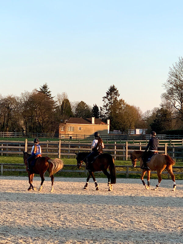 Foto van Horses Paradise Vzw