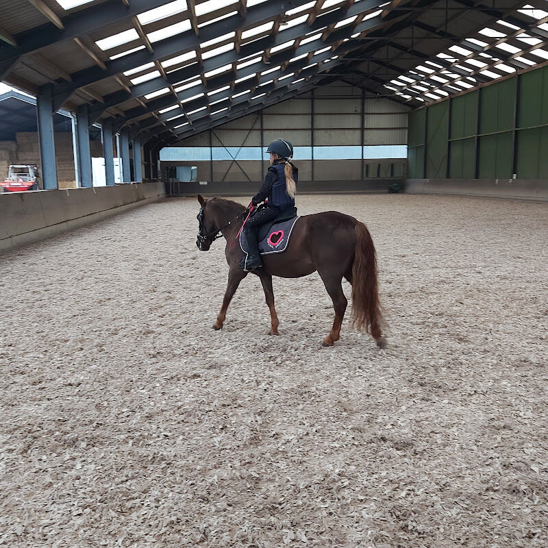 Foto van Manege Kerenshof V.O.F.