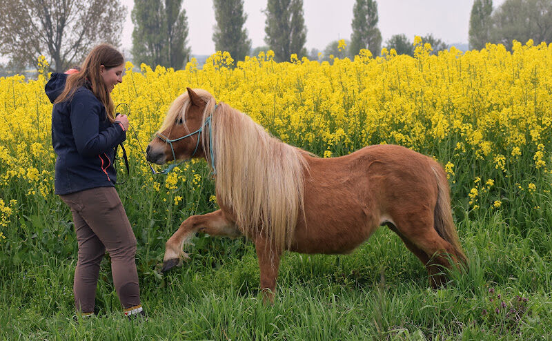 Foto van Dieractiever vzw