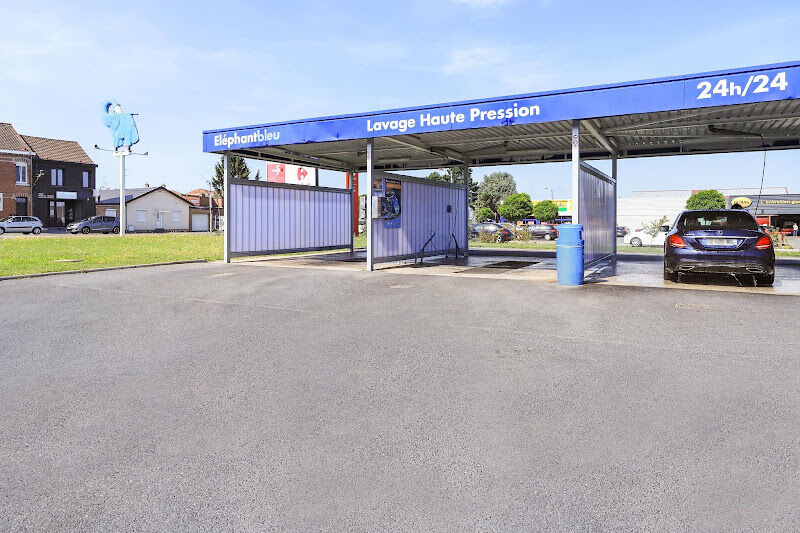 Foto van Elephant bleu