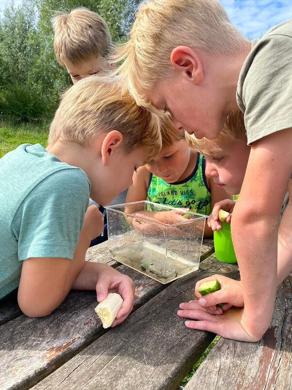 Foto van 't Kreekeltje
