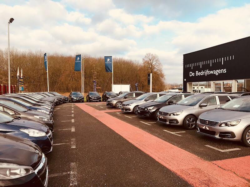 Foto van Garage en Carrosserie Vanbussel Dilsen NV