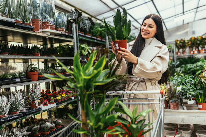 Foto van ELINKA Pots & Plants