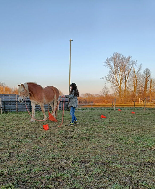 Foto van EigenWijs
