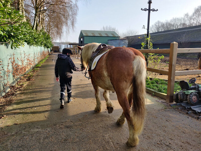 Foto van Manege Cavalo