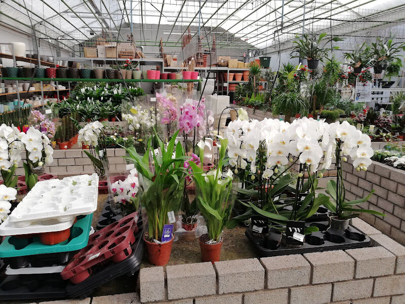 Foto van Groendecor Zelzate