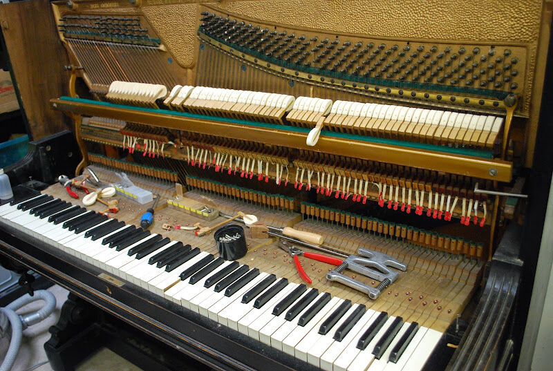 Foto van De PianoTemmer - Erik Verhulst