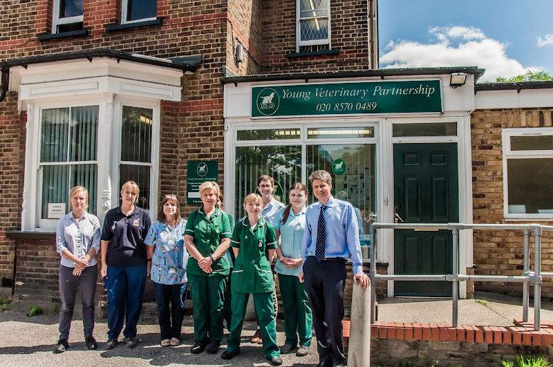 Foto van Young Veterinary Partnership