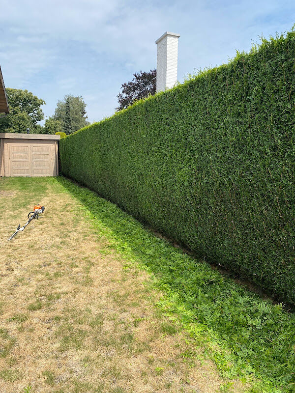 Foto van SEPE Tuinonderhoud & Boomverzorging