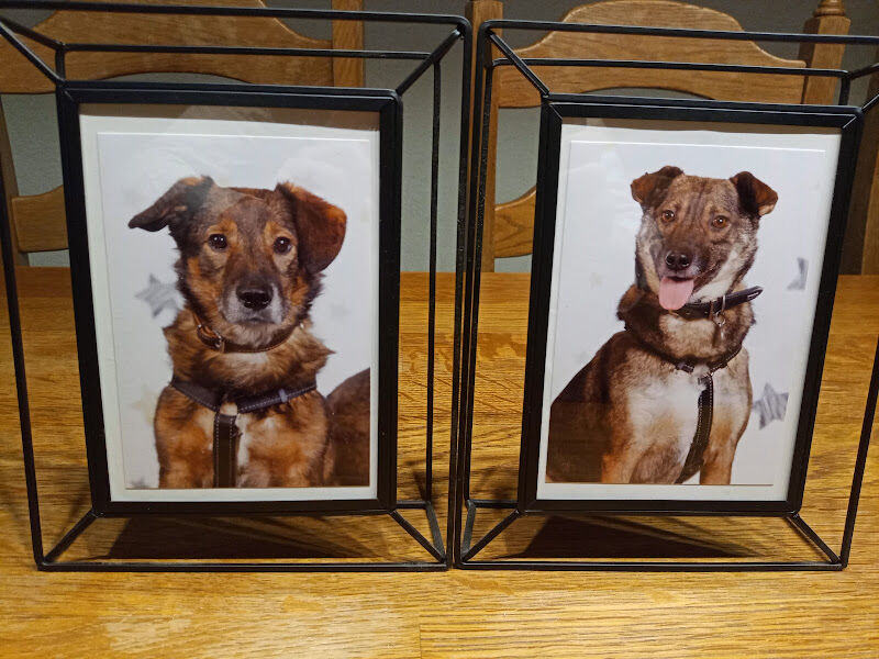 Foto van Fotomag