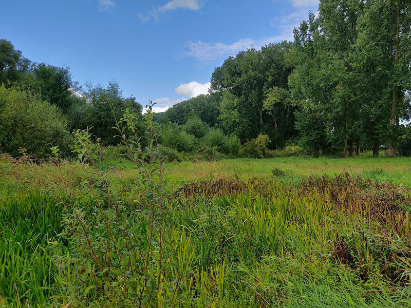Foto van Mandelhoek natuurreservaat