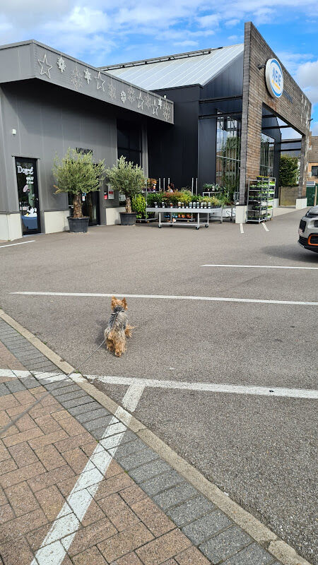 Foto van Aveve Bree