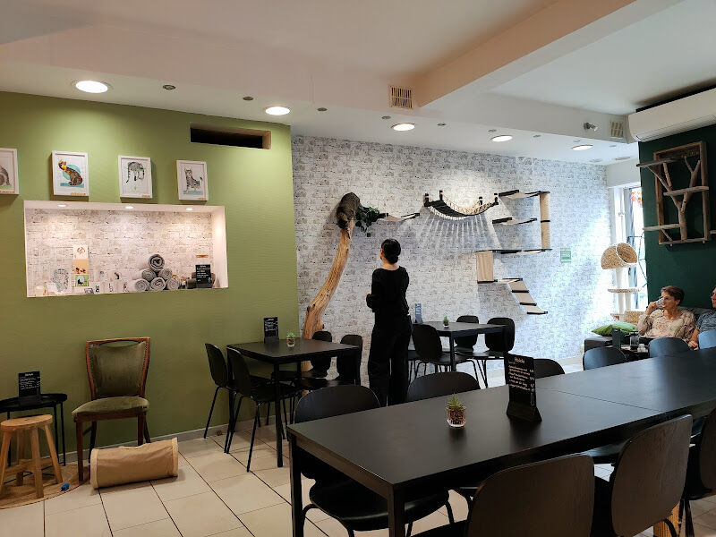 Foto van MAU kattencafé