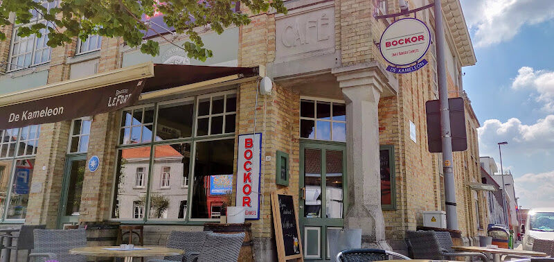 Foto van De Kameleon