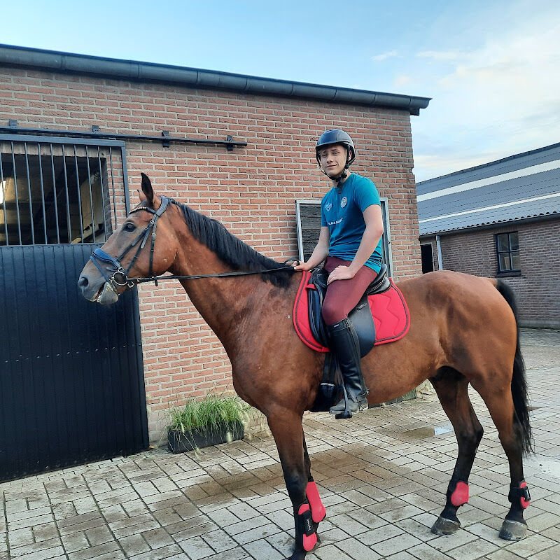 Foto van Manege en stal Karabelen