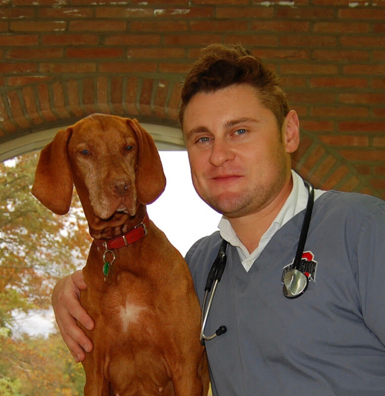 Foto van Dr Odhrán Smith DVM - Vétérinaire agréé