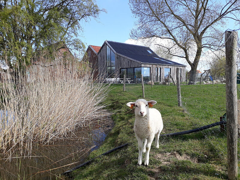 Foto van De Hopast