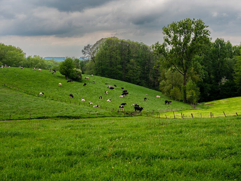 Foto van Natuurgebied 't Burreken