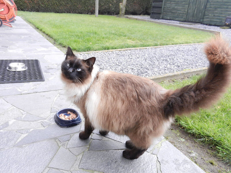 Foto van Barbiers Chantal