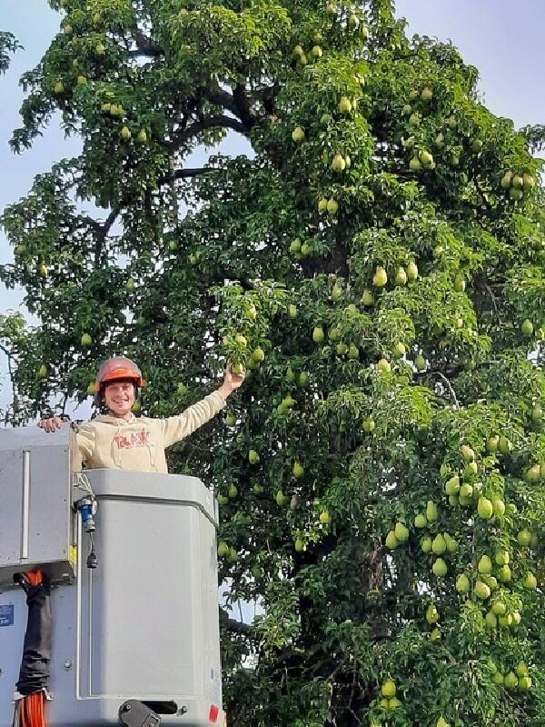 Foto van Jef Green BV