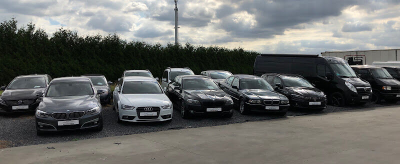 Foto van Auto's David