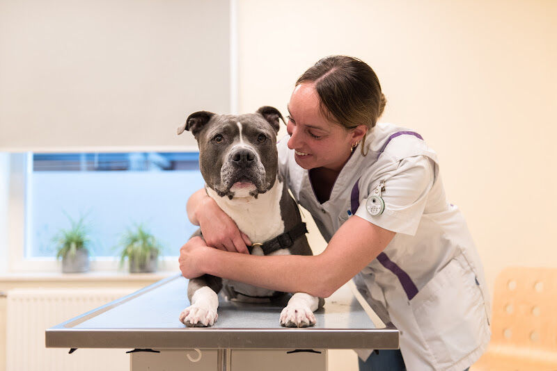 Foto van Dierenkliniek Hoogveld Susteren