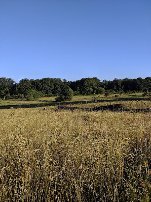 Foto van Écoduc de Groenendael