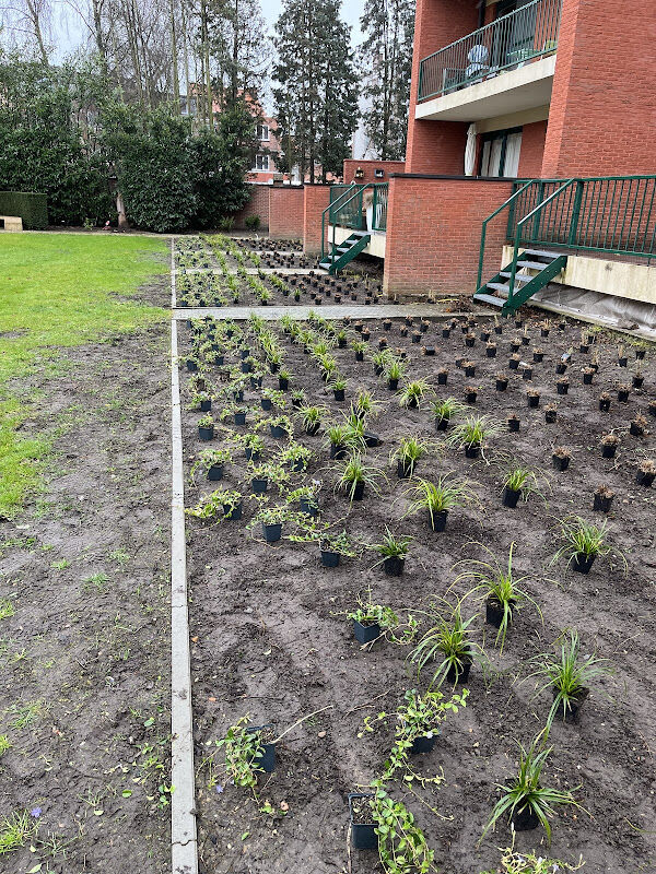 Foto van Tuinwerken Janssens