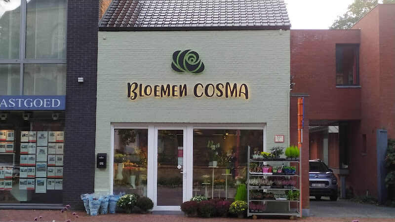 Foto van Bloemen Cosma