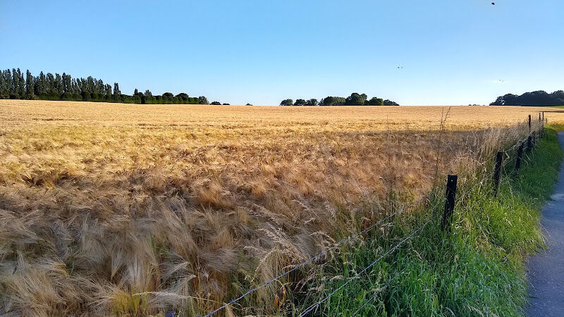 Foto van Speeltuin