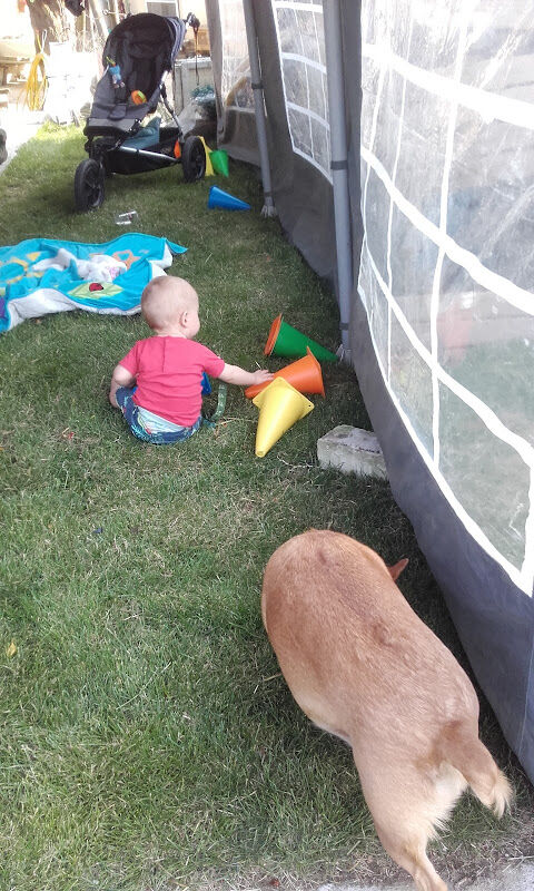 Foto van Verreck / Freddy