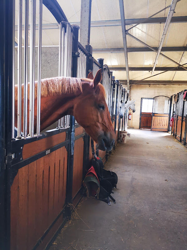Foto van Manege Ter Duinen