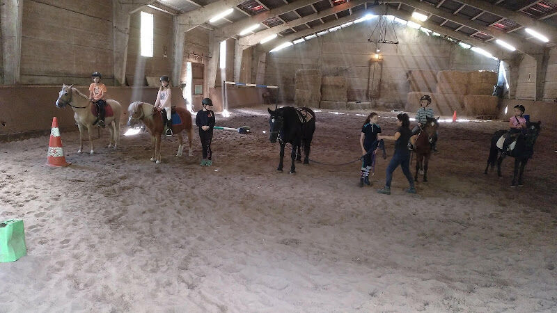 Foto van Equestrian Center De Mousty