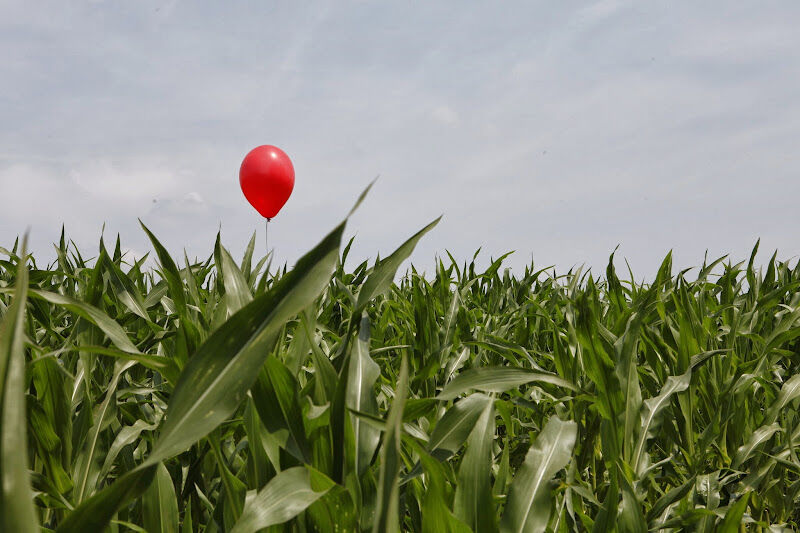 Foto van Clown-Entertainment