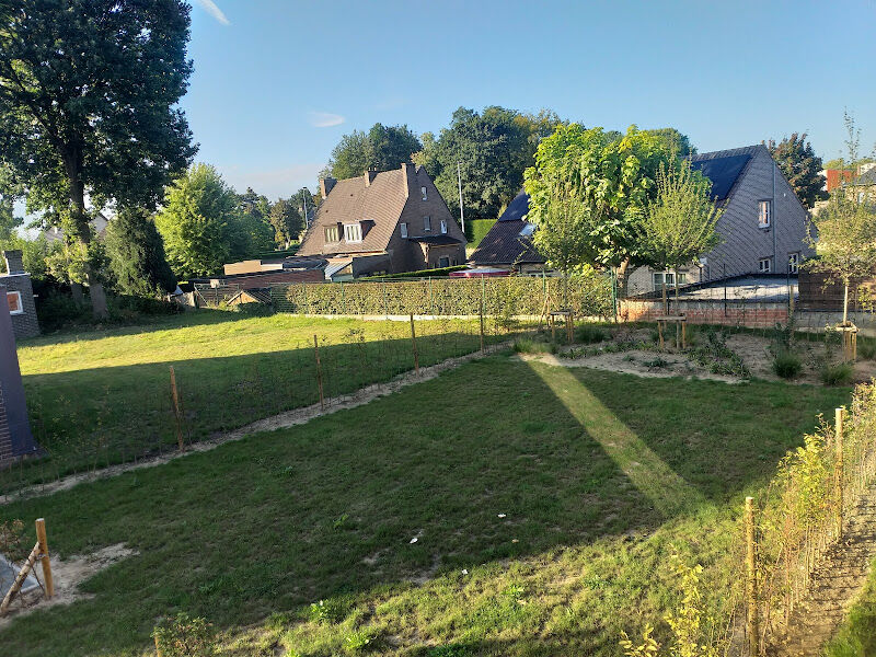 Foto van OCMW Denderleeuw